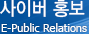 사이버홍보 - E-Public Relations